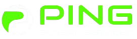 Ping Global